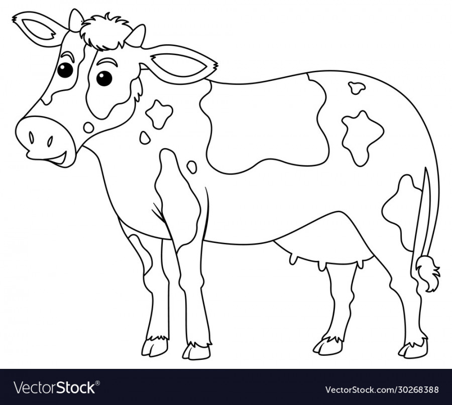 Outline drawing cow on white background Royalty Free Vector