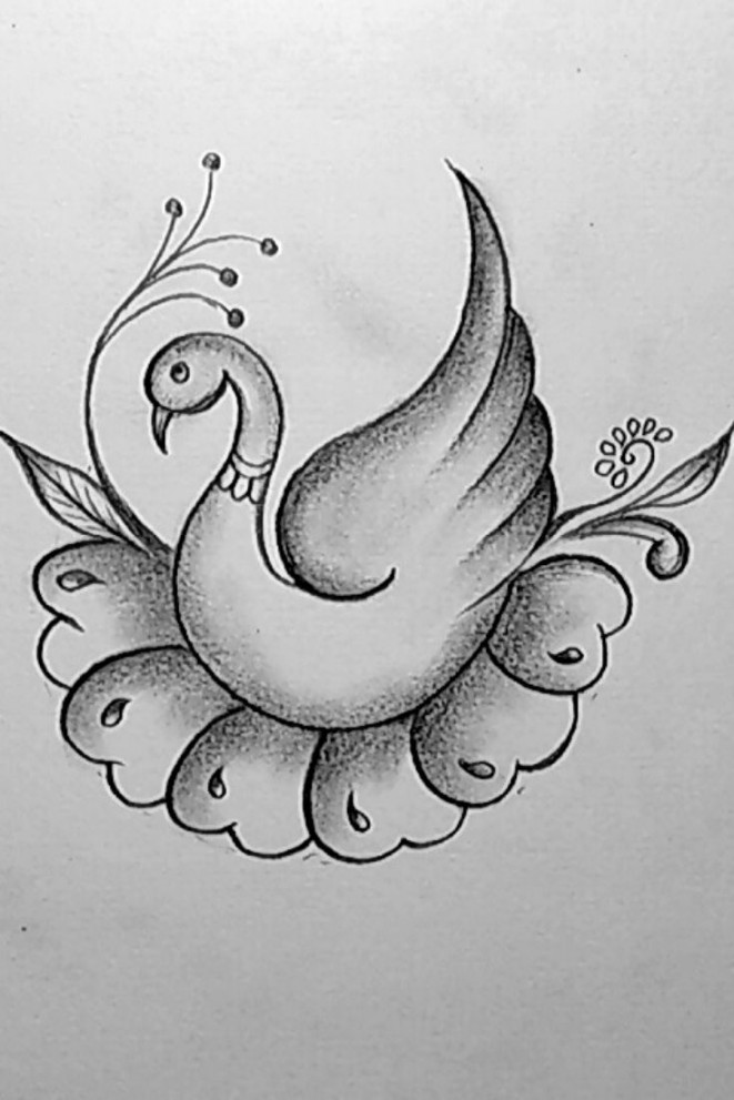 Pencil Drawing And Shading Beautiful Swan Picture ➤Easy