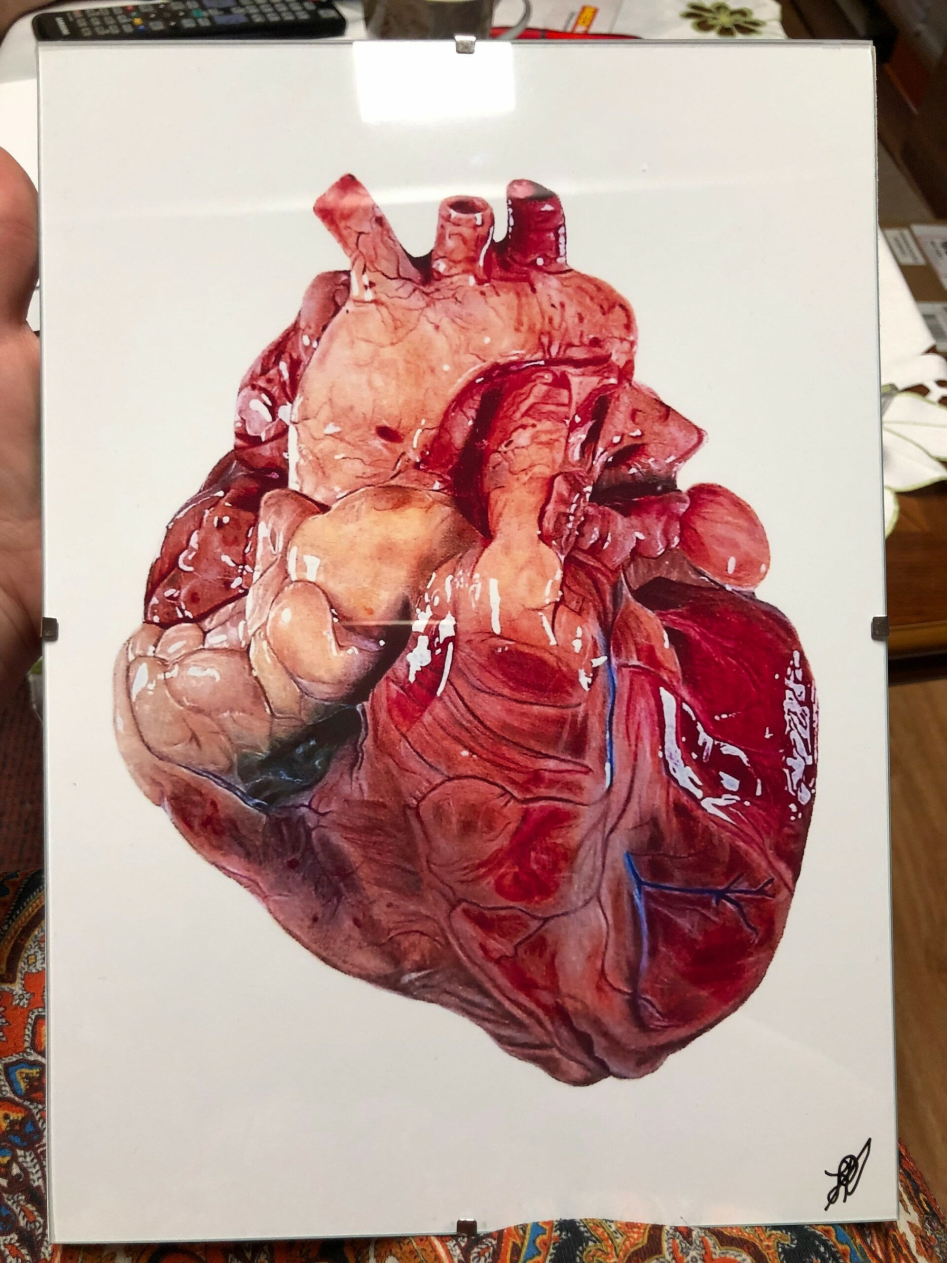 Realistic Heart Drawing Print - Etsy