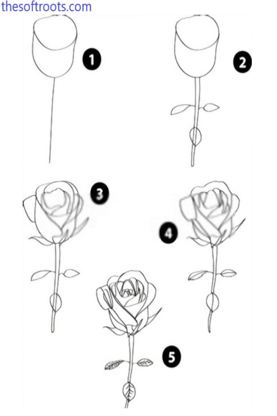 Rose draw  rose drawing easy  Simple rose drawing  Roses