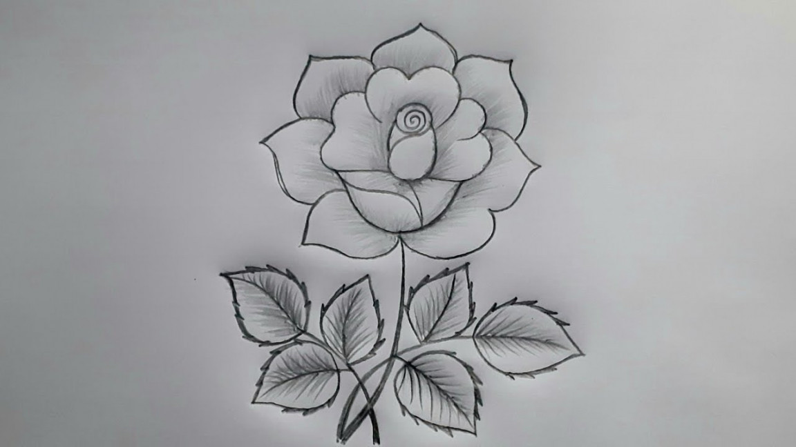 Rose Drawing  How To Draw A Rose  Flower Design Drawing  Flower Art