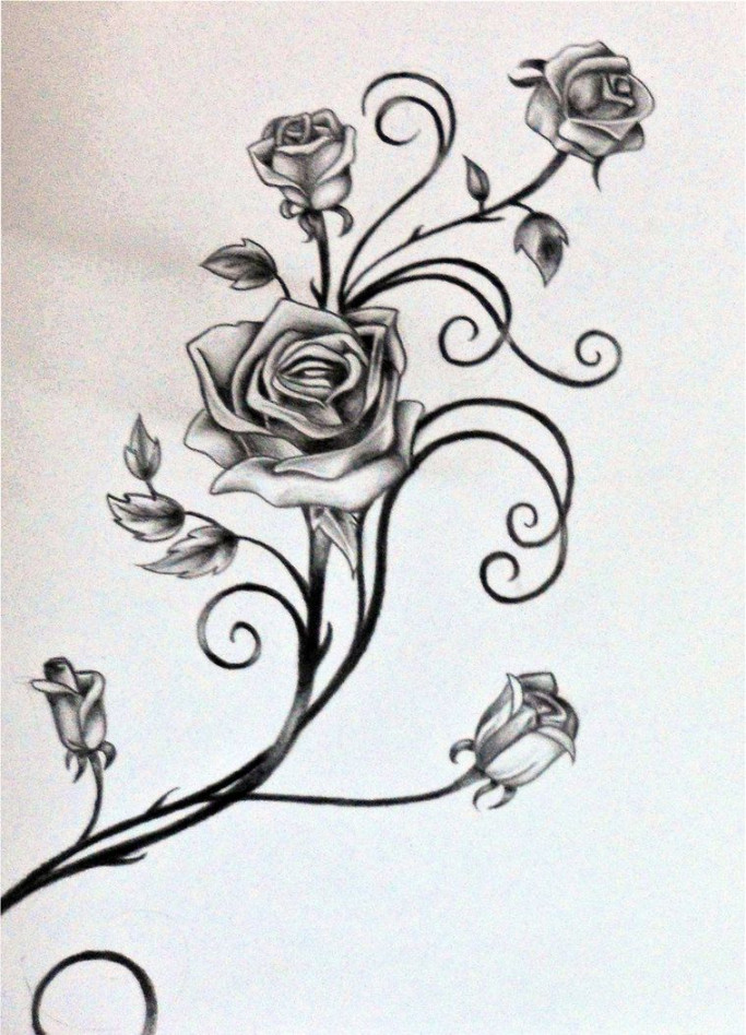 Roses and The Vine  Vine tattoos, Rose vine tattoos, Rose drawing