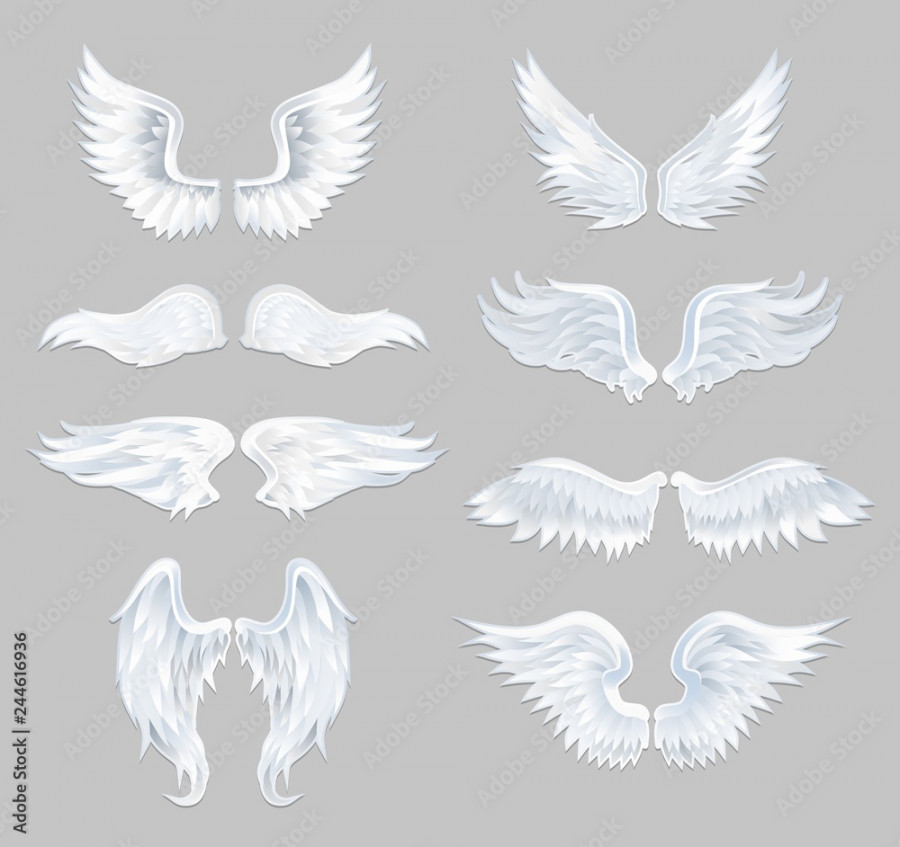 Set of beautiful angel wings isolated on grey background