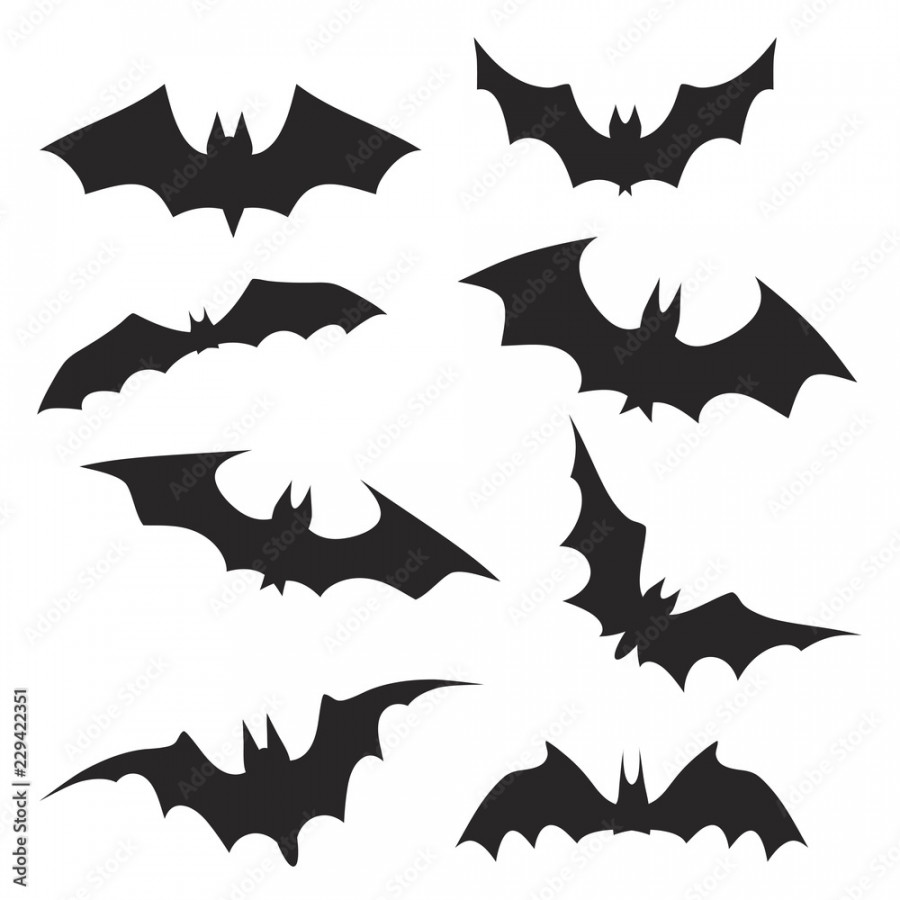 Set of hand drawing halloween bats, stock vector illustration