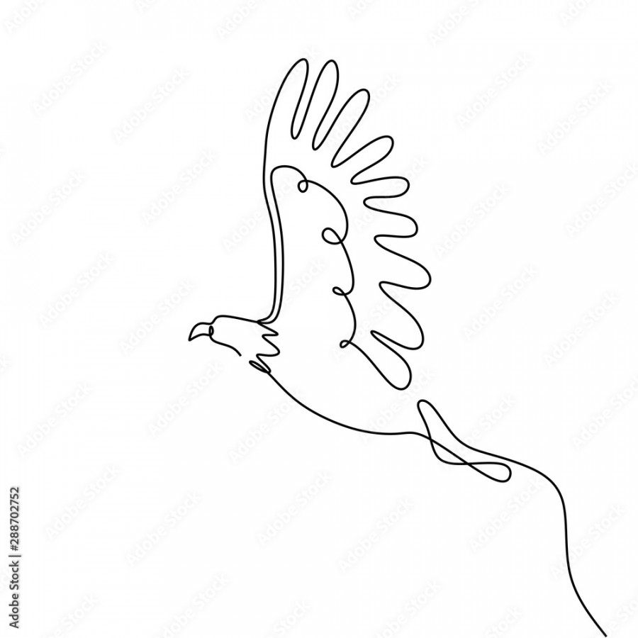 single one line drawing eagle bird flying continuous vector