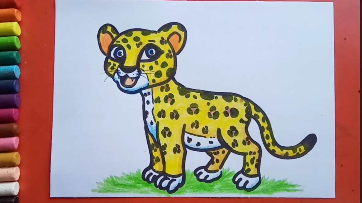 Step by step Leopard Drawing