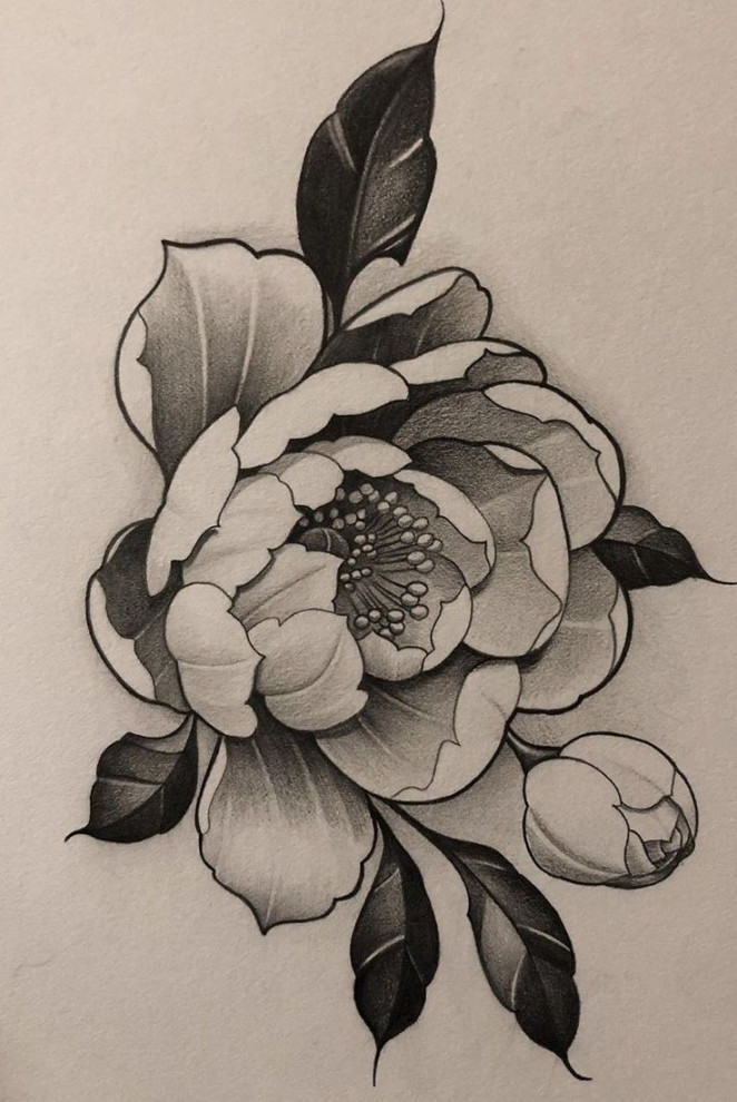 Tattoo Ideas  Flower tattoo drawings, Japanese flower tattoo