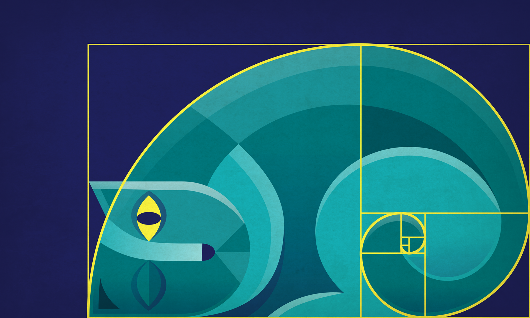 The Golden Ratio and how to use it in graphic design - designs