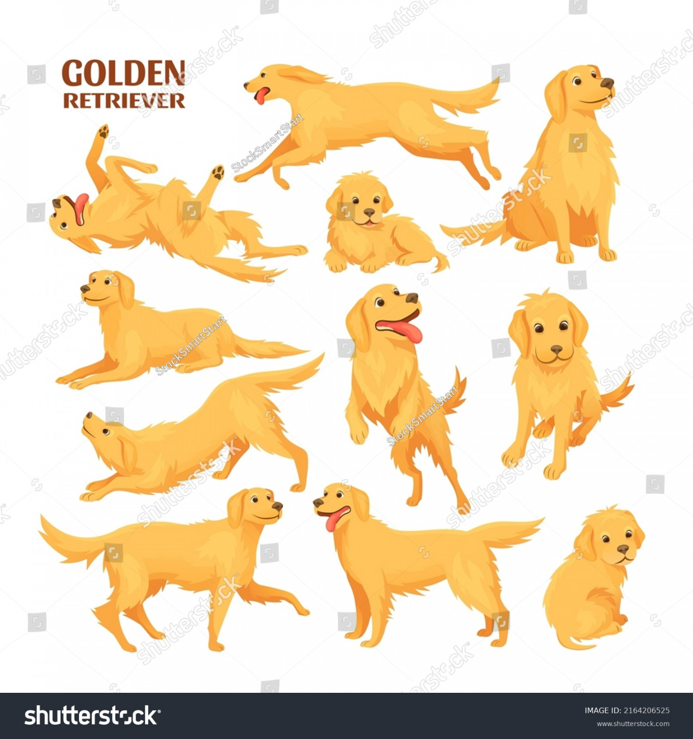 + Thousand Cartoon Golden Retriever Royalty-Free Images, Stock