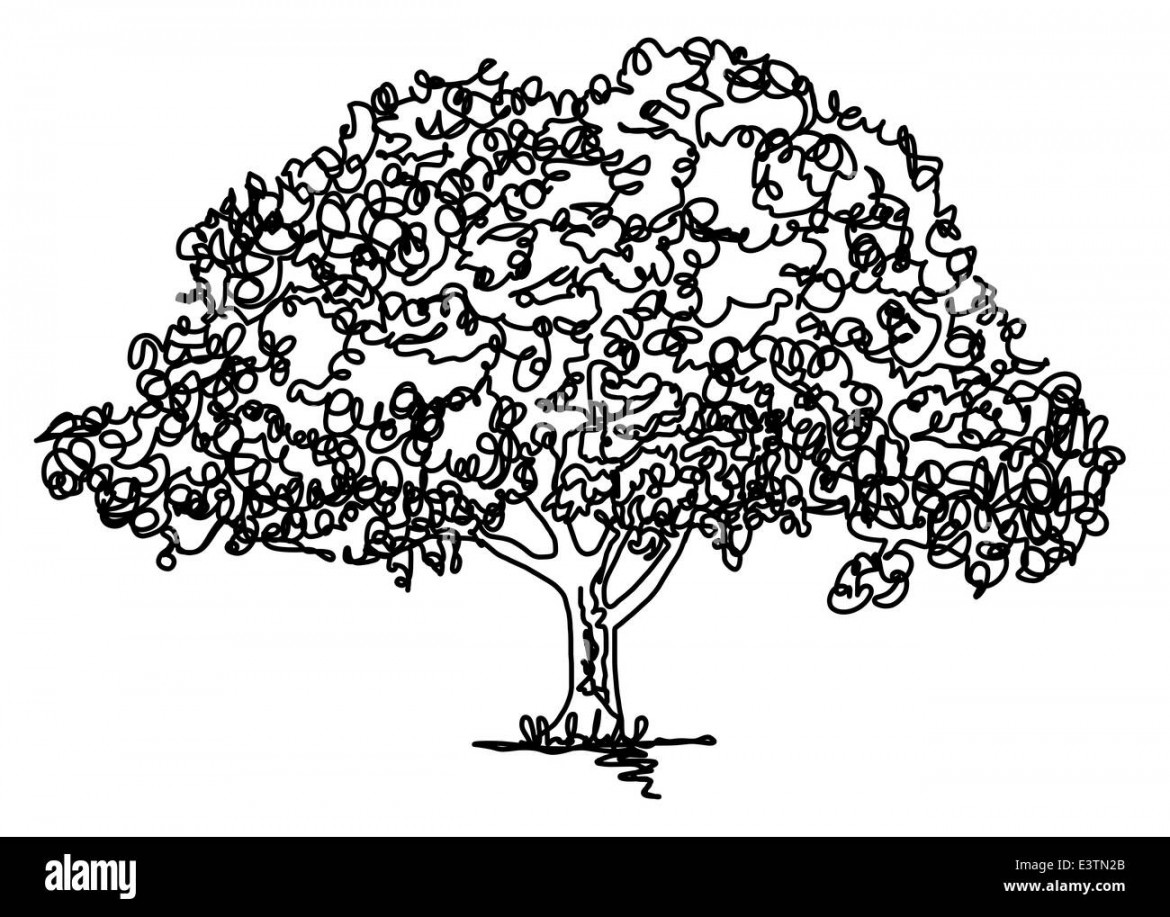 Tree line drawing hi-res stock photography and images - Alamy