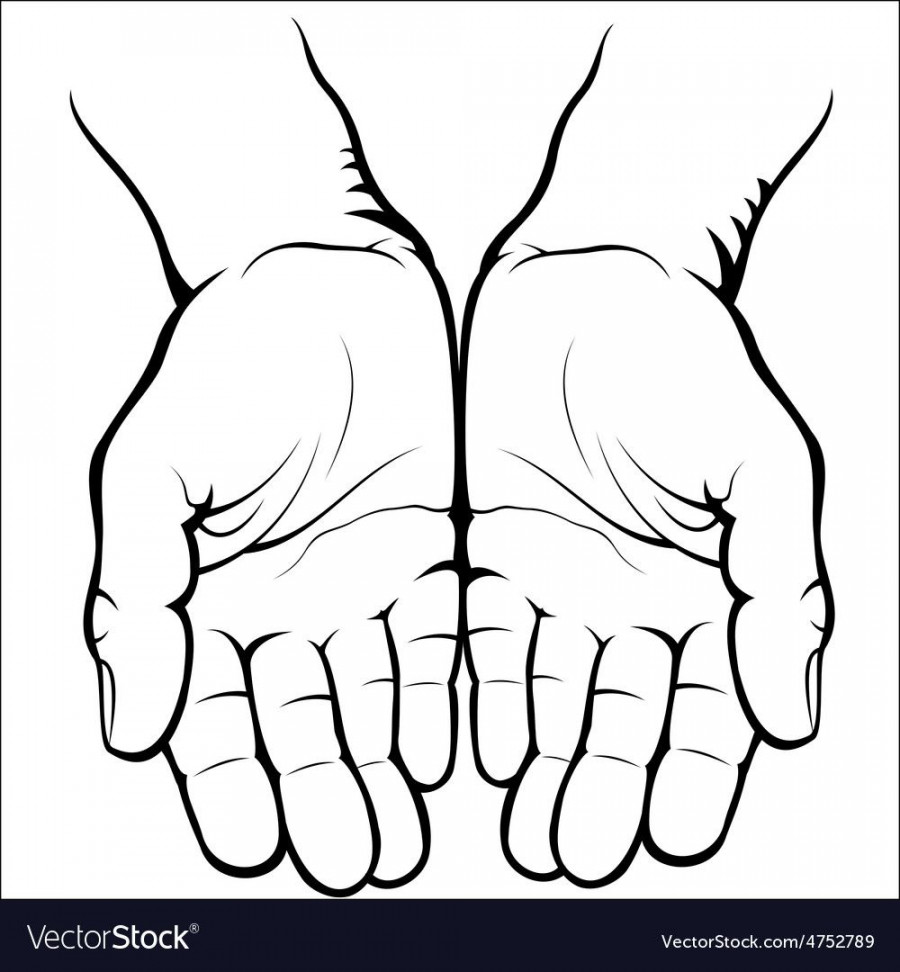 Vector illustration - Empty open palms on a white background