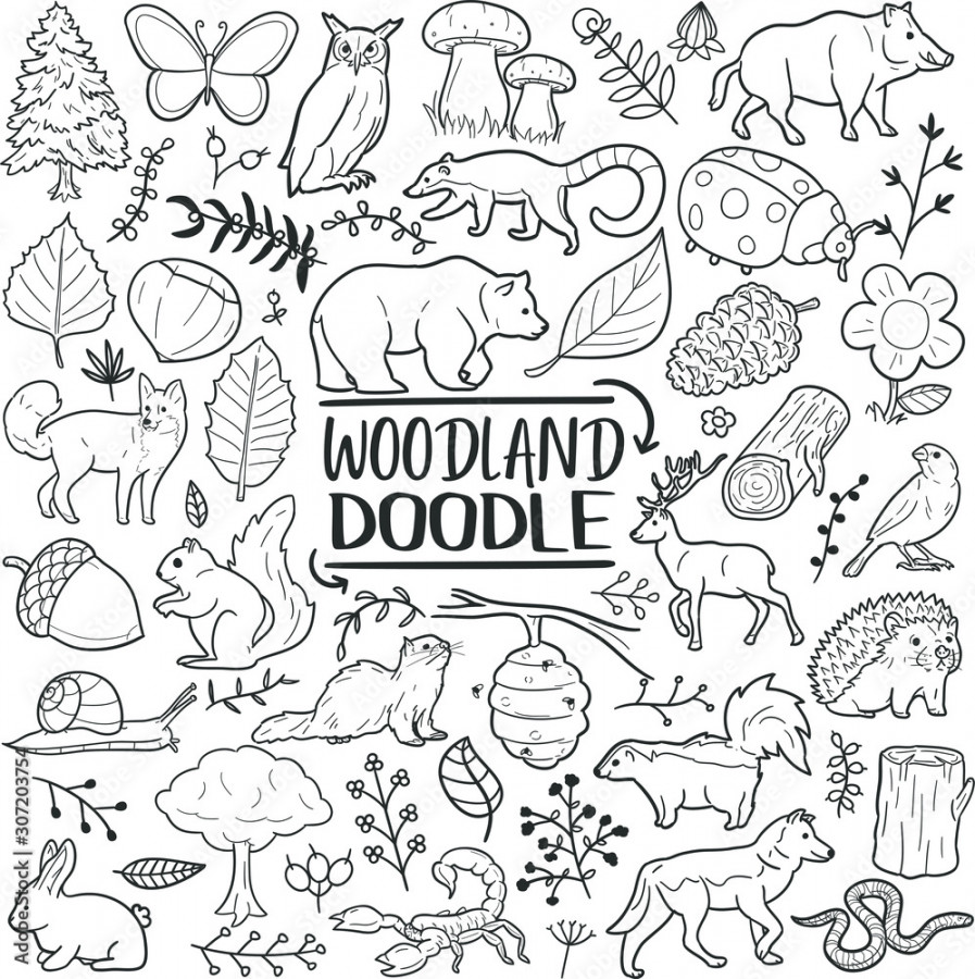 Woodland Animals Forest Traditional Doodle Icons Sketch Hand Made