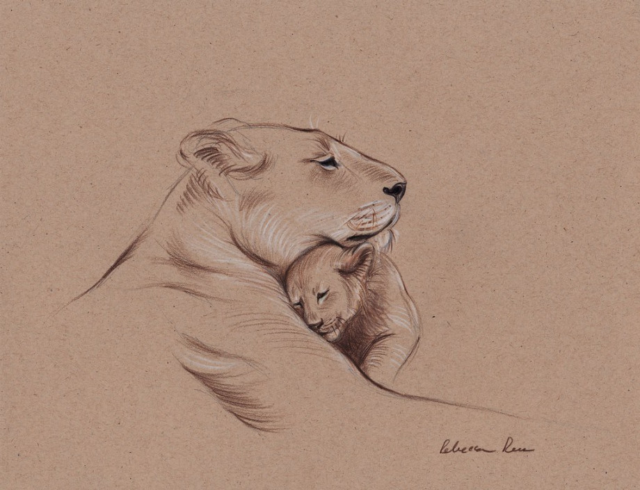 A Mothers Pride" Lioness and cub original pencil drawing