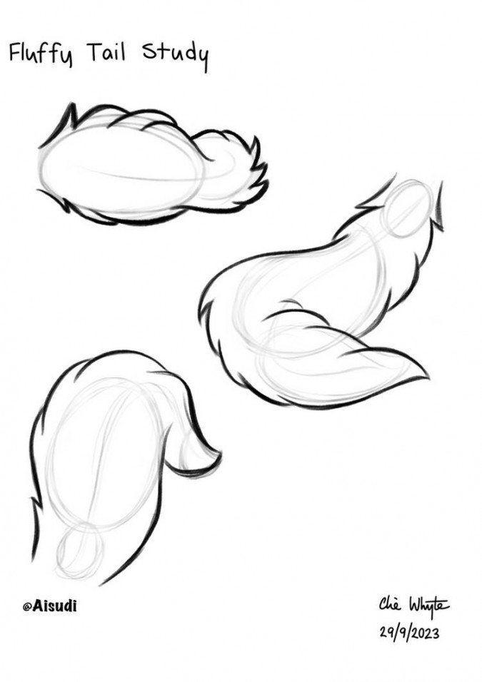 Aisudi Fluffy Tail Study by CHWArt on DeviantArt