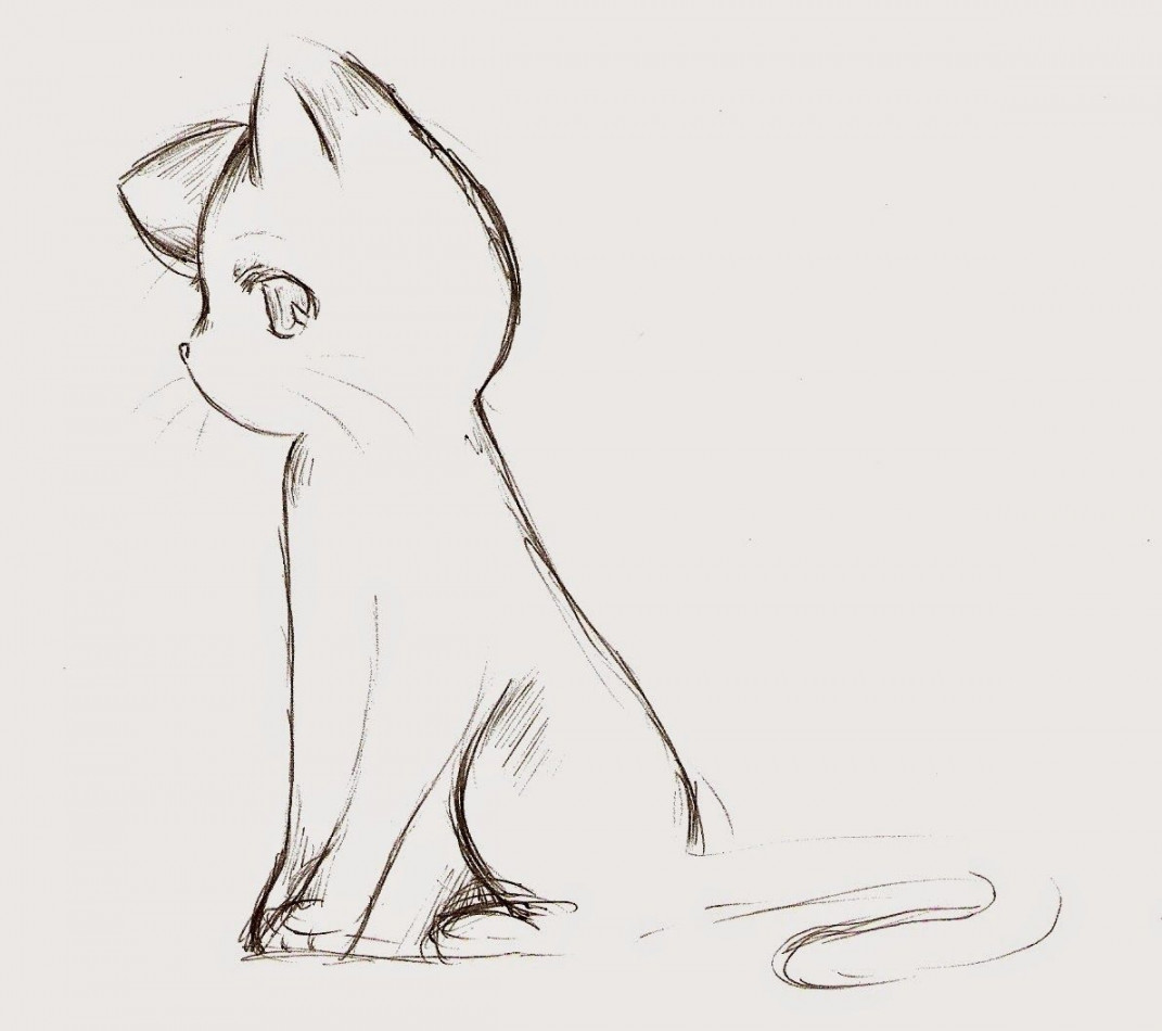 anime cat - Cartoon Anime  Cat sketch, Cat drawing, Cute drawings