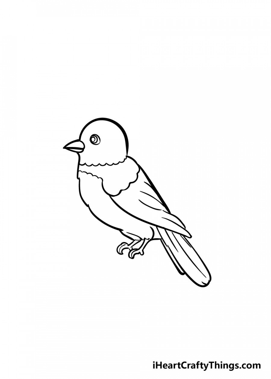 Bird Drawing - How To Draw A Bird Step By Step!