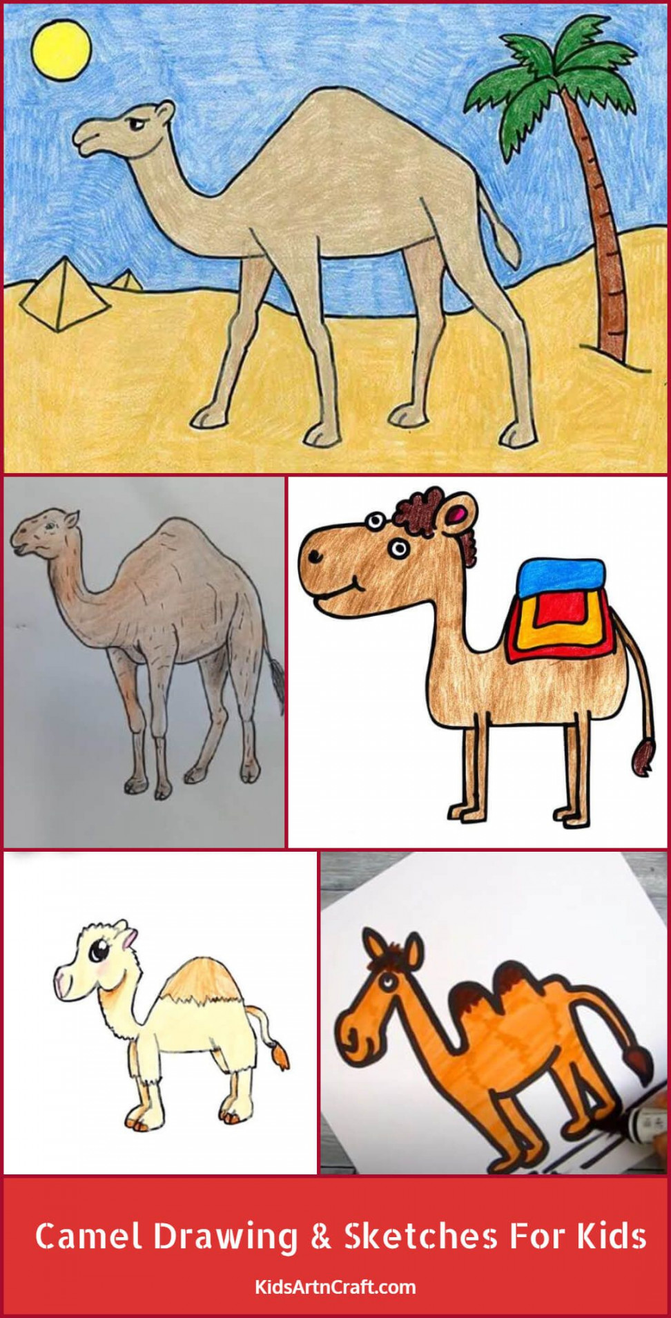 Camel Drawing & Sketches For Kids  Children sketch, Drawing