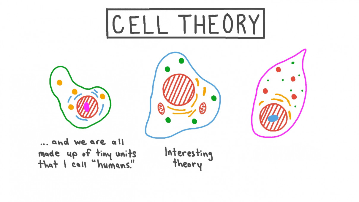 Cell Theory