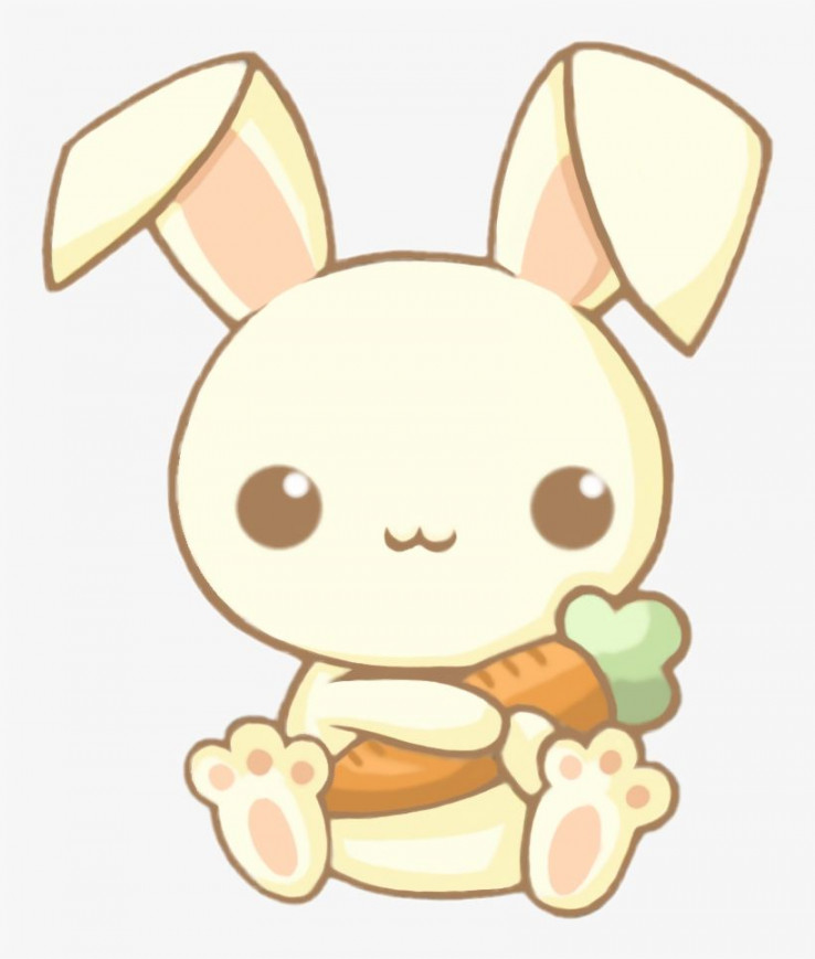 Cute Kawaii Bunny Rabbit Carrot Chibi Animals Adorable - Easy