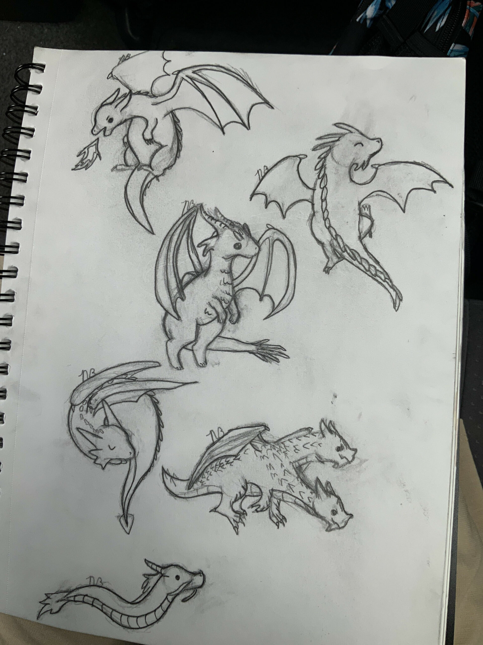 Cute little dragon drawings I did! Based off of a how to draw book