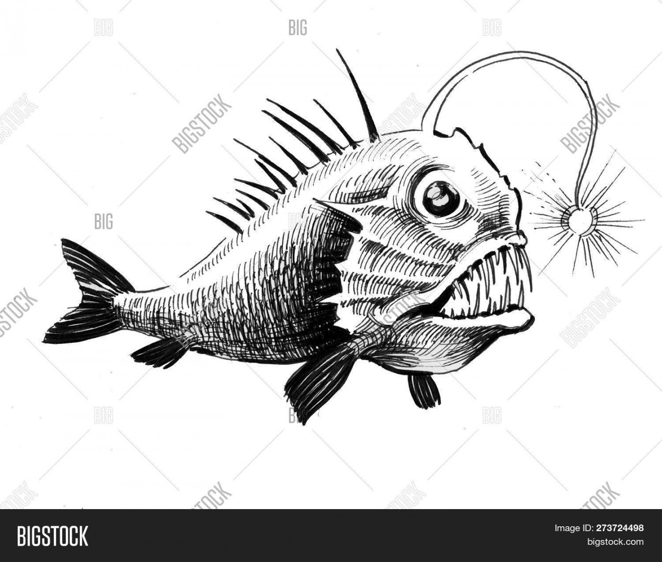 Deep Water Scary Fish Image & Photo (Free Trial)  Bigstock