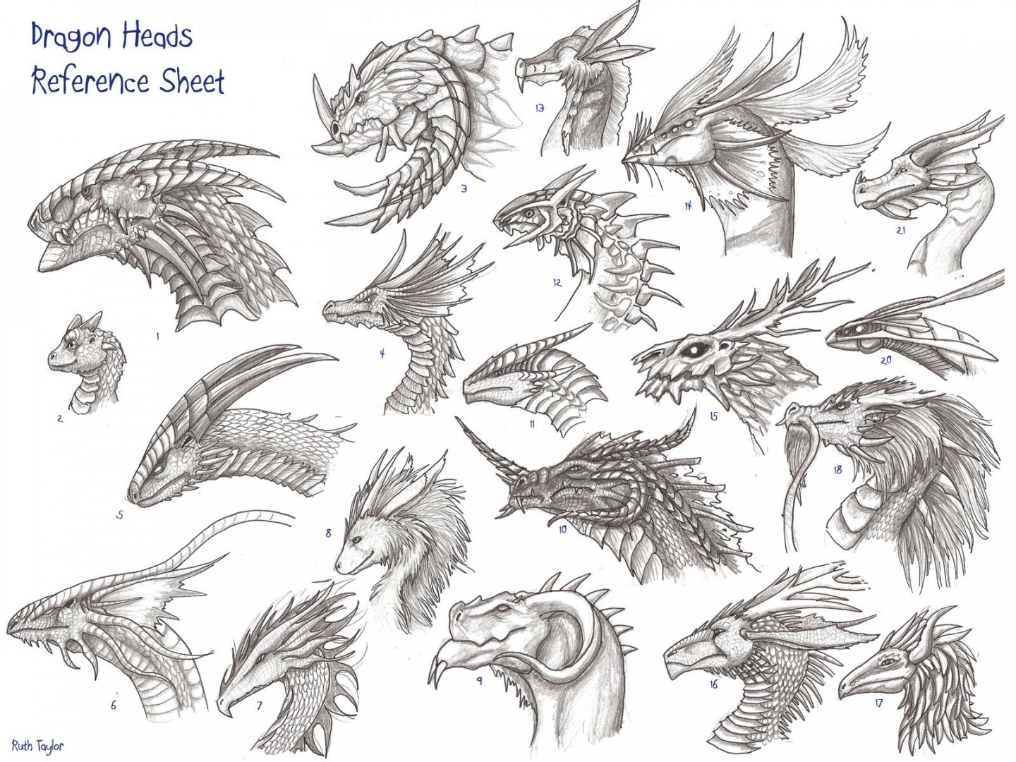 Dragon heads reference sheet  Dragon head drawing, Dragon sketch