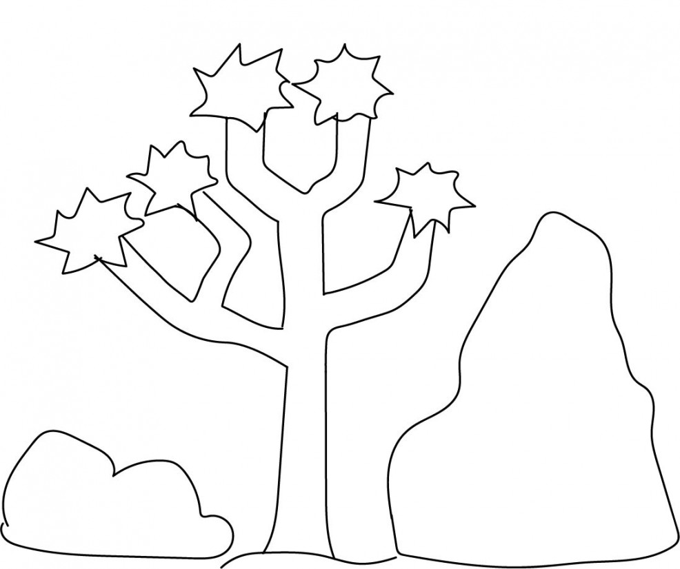 Draw a Joshua tree (U.S