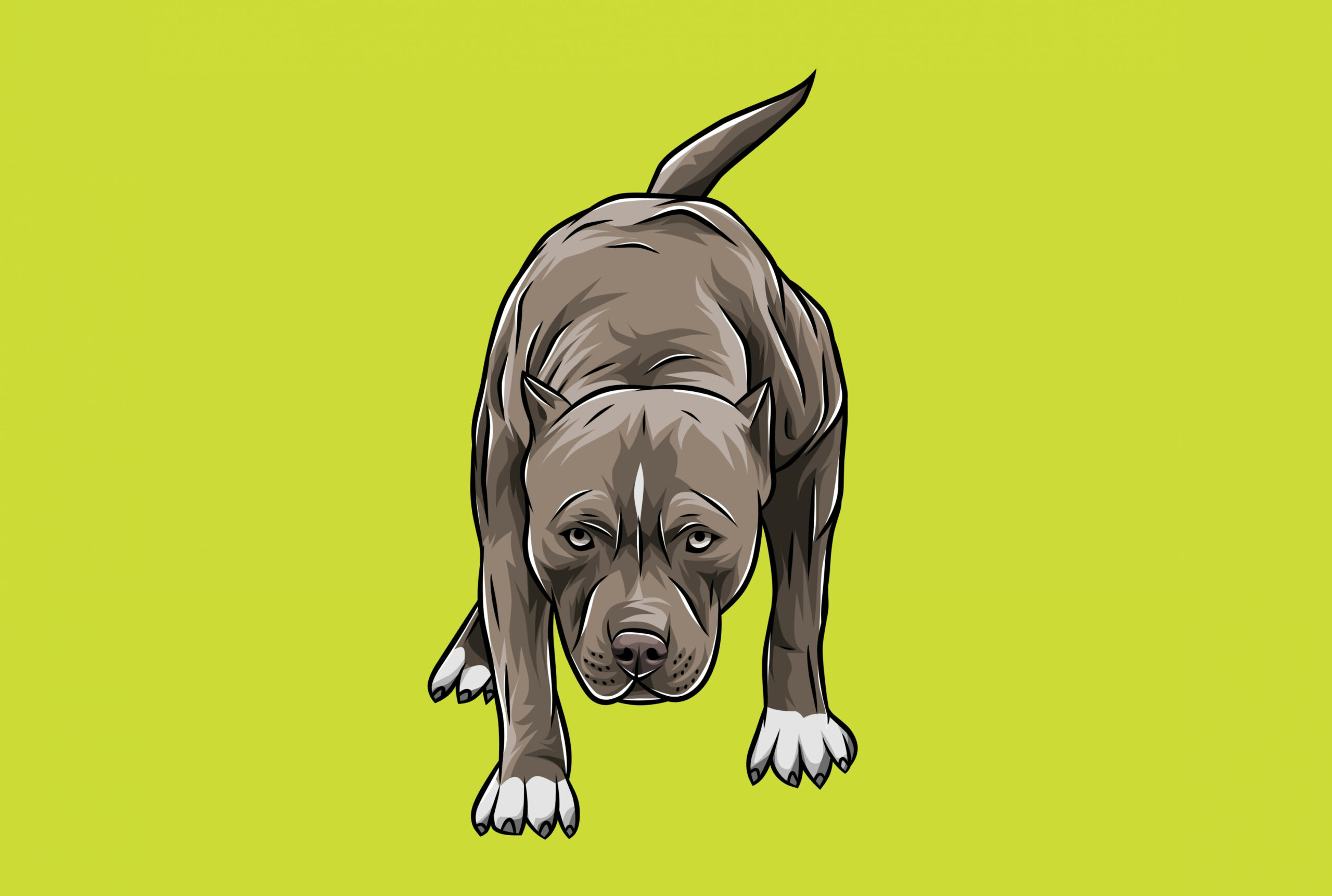 draw your pitbull into vector art cartoon