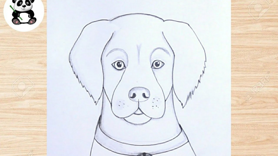 Easy Dog face pencil drawing  cute drawings@TaposhiartsAcademy