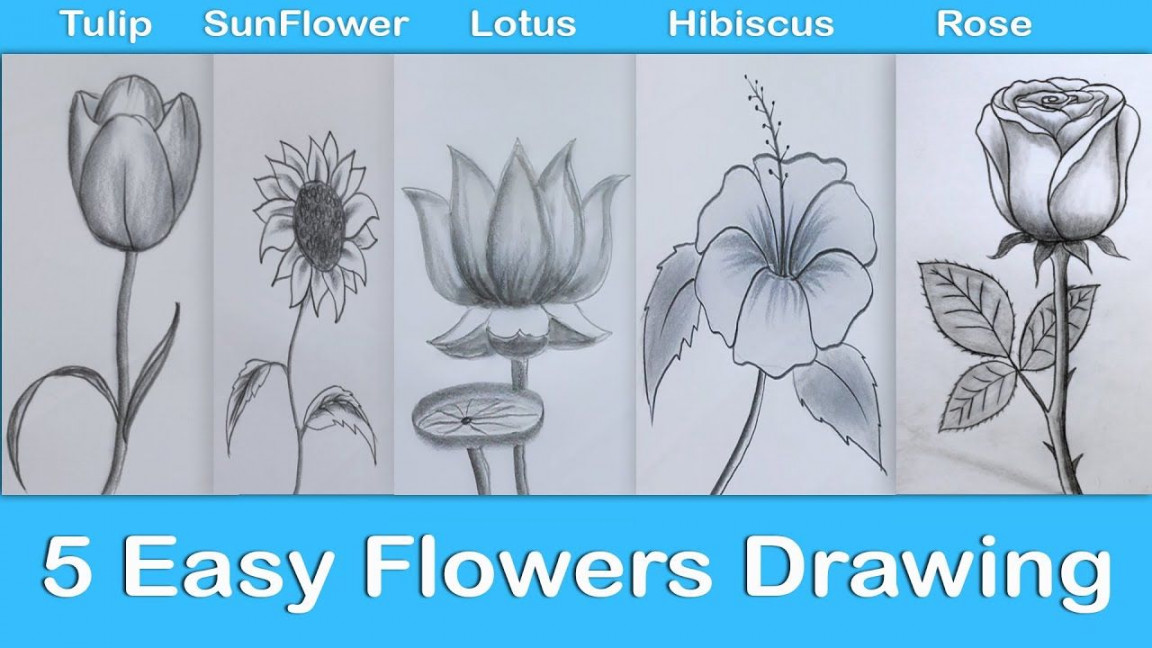 Easy Flowers Drawing  How to draw flowers 🌼  Flower drawing