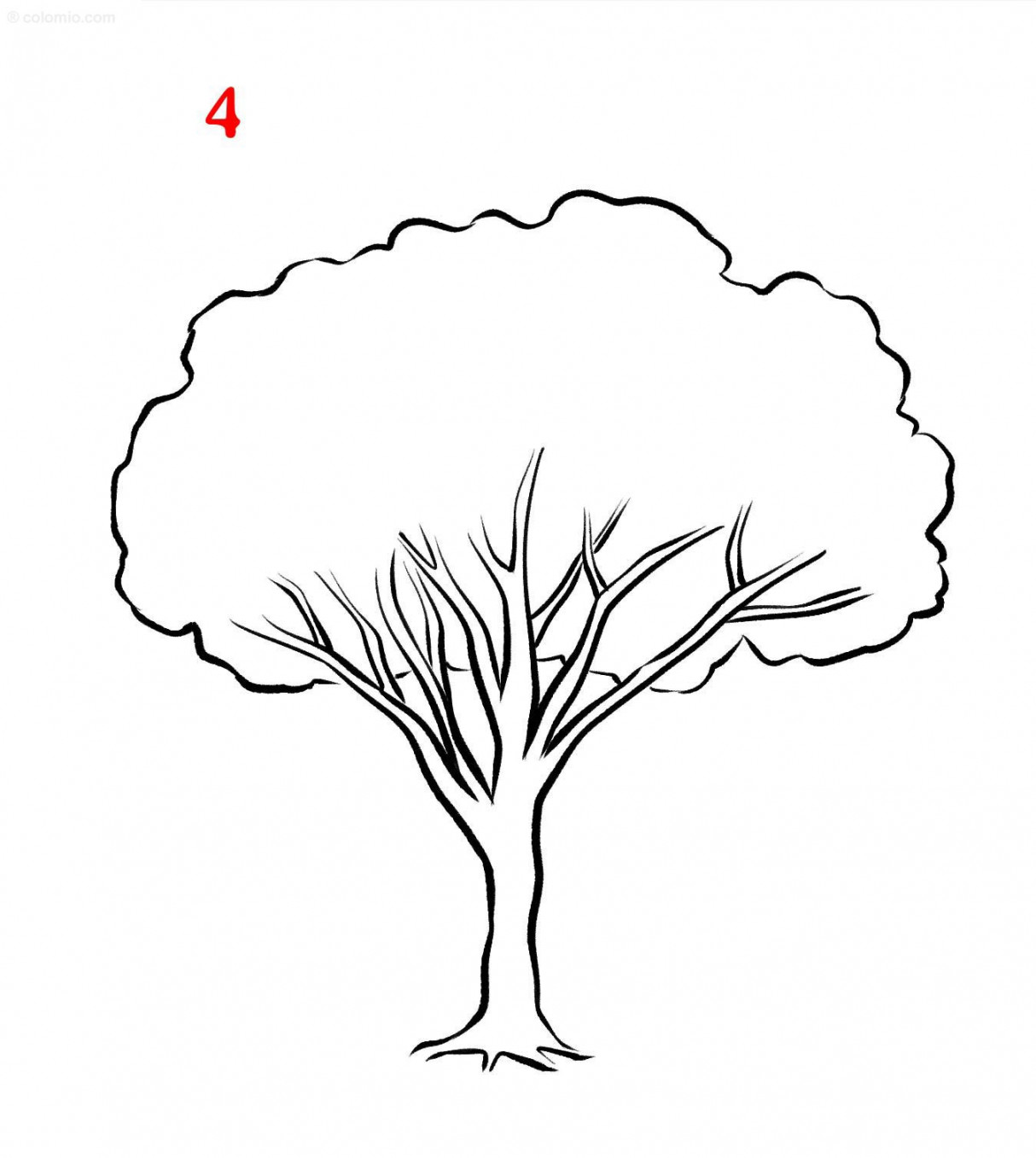 Easy Tree Drawing » How to draw a Tree