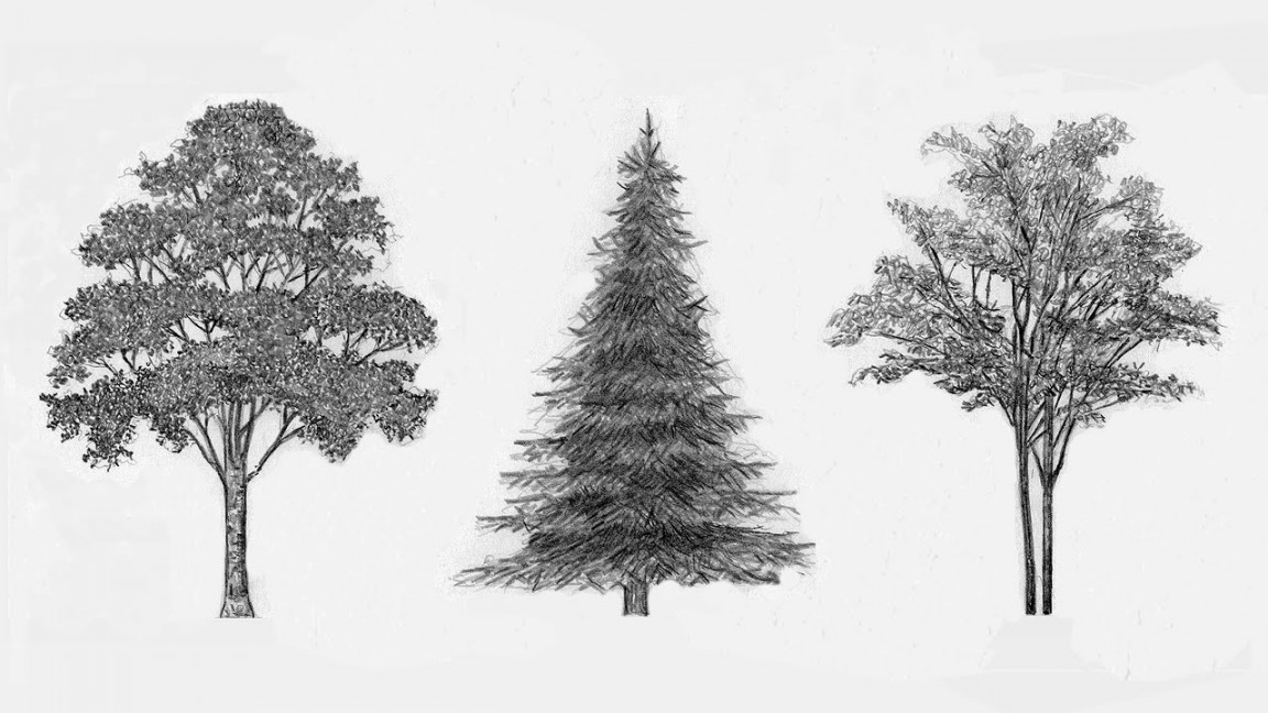 Easy Ways To Draw Trees