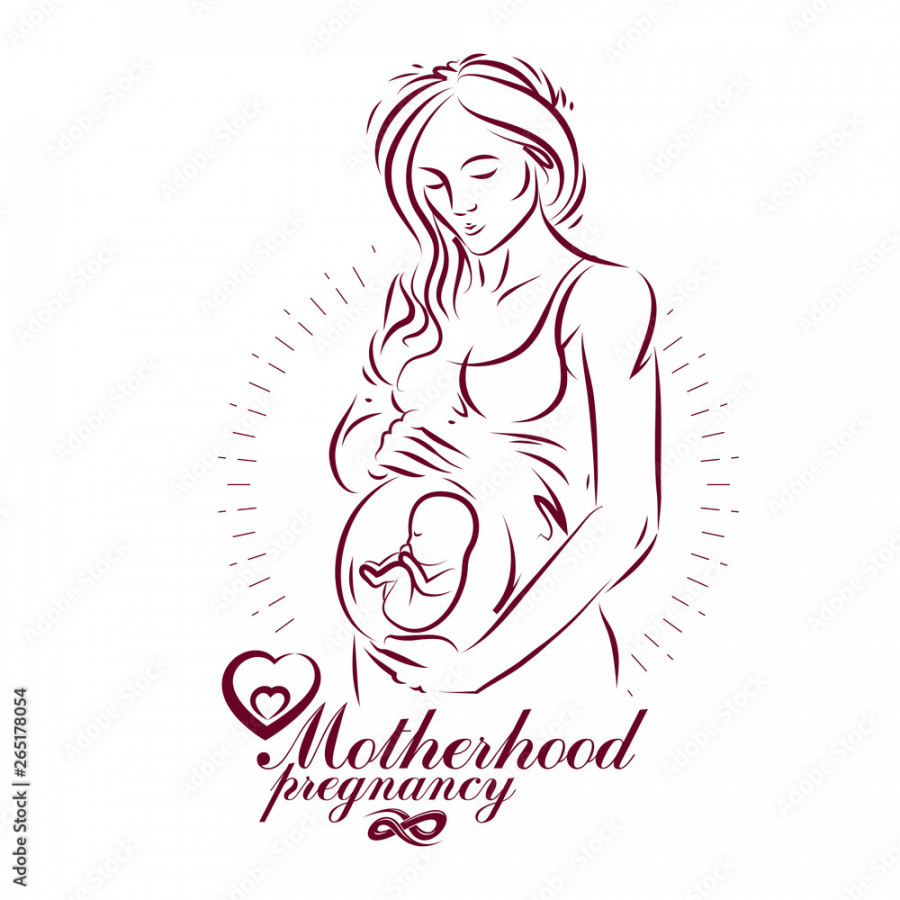 Elegant pregnant woman body silhouette drawing