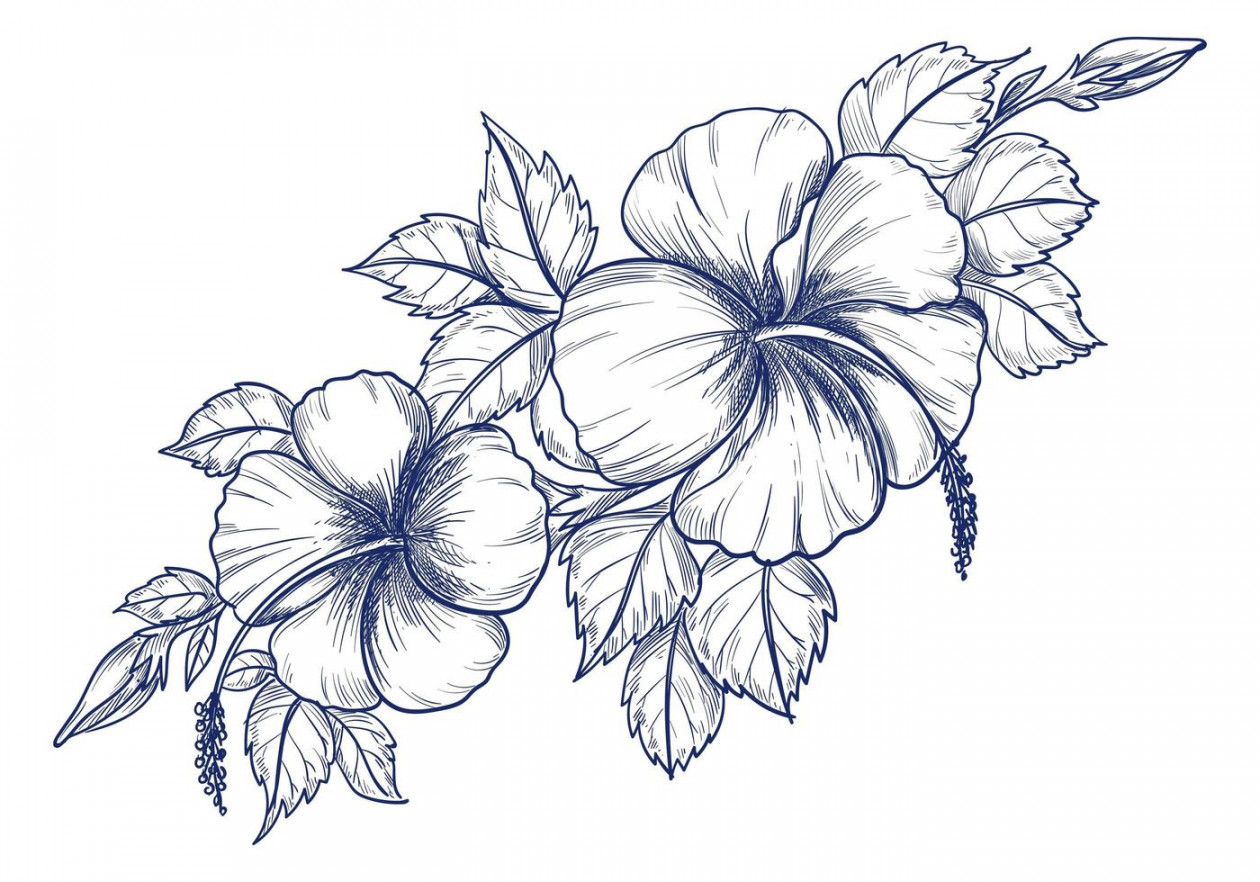 Flower Drawing Vector Art, Icons, and Graphics for Free Download