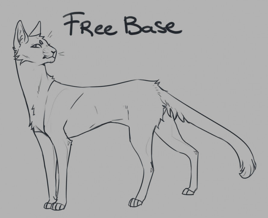 Free Cat base by Niuwna on DeviantArt