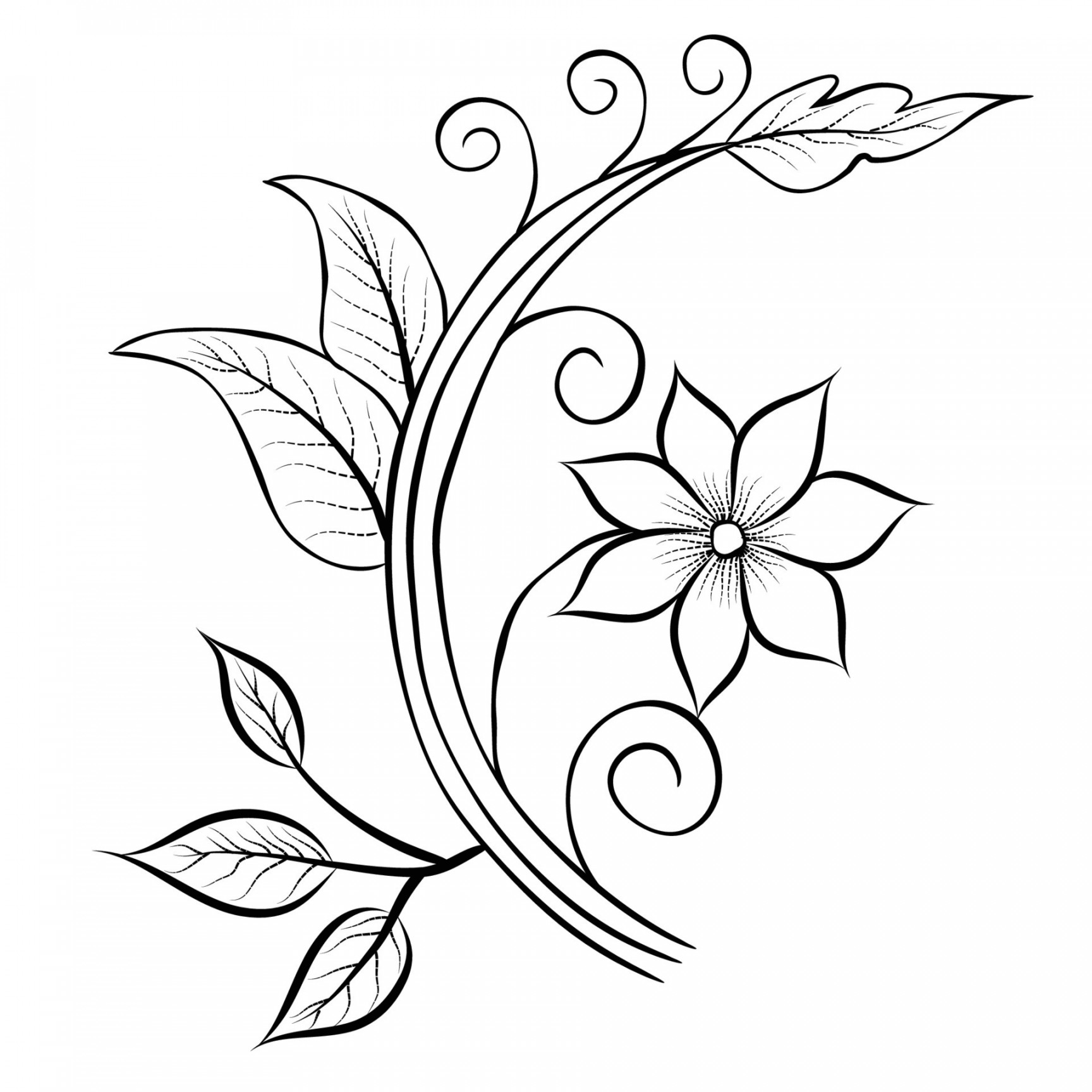 Free Vector line art and hand drawing flower art black and white