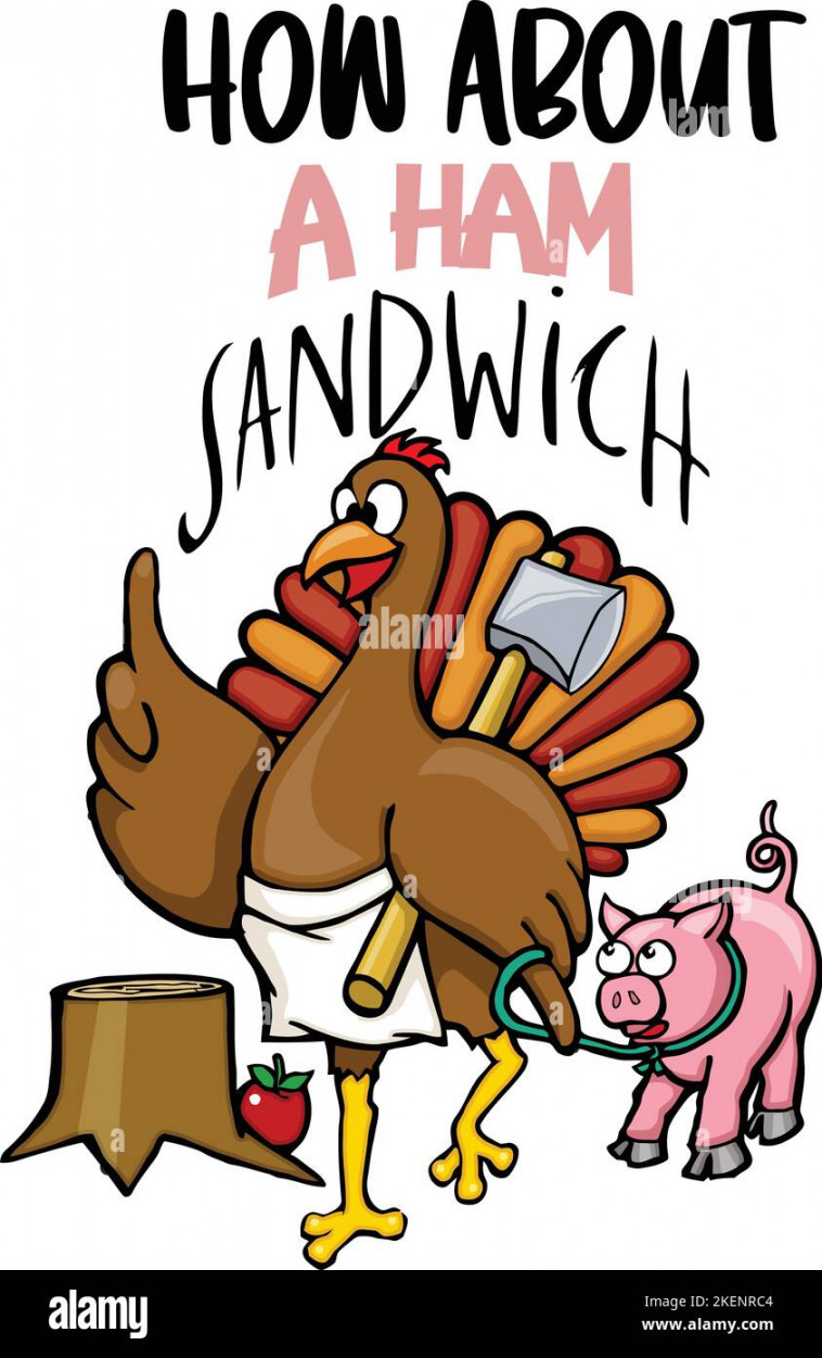 Funny turkey cartoon hi-res stock photography and images - Alamy