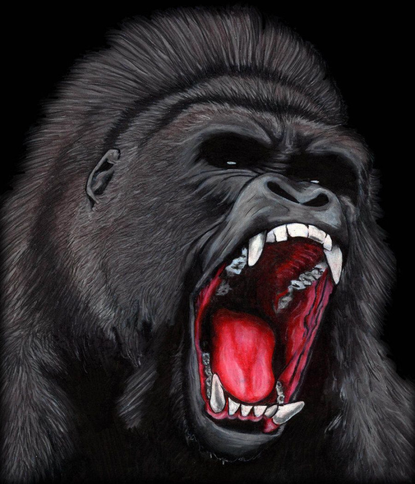 Gorilla tattoo, Gorillas art, Gorilla