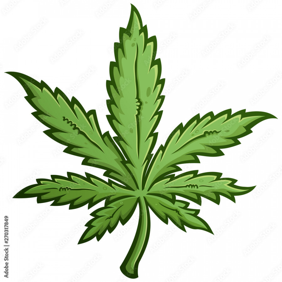 Green Marijuana Weed Leaf Cartoon Drawing Stock Vector  Adobe Stock