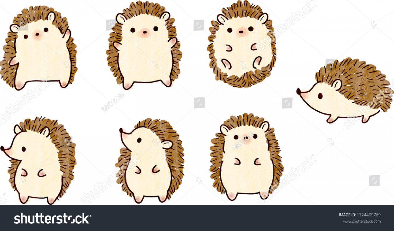 Hedgehog Cute Illustration Set Vector Stock Vector (Royalty Free