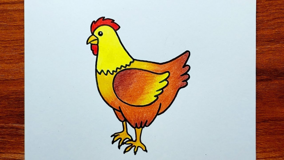 Hen Drawing  How to Draw Hen Step by Step  Hen Drawing Colour for  Beginners..