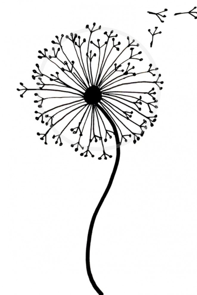 How to draw a dandelion: Easy dandelion drawing step by step