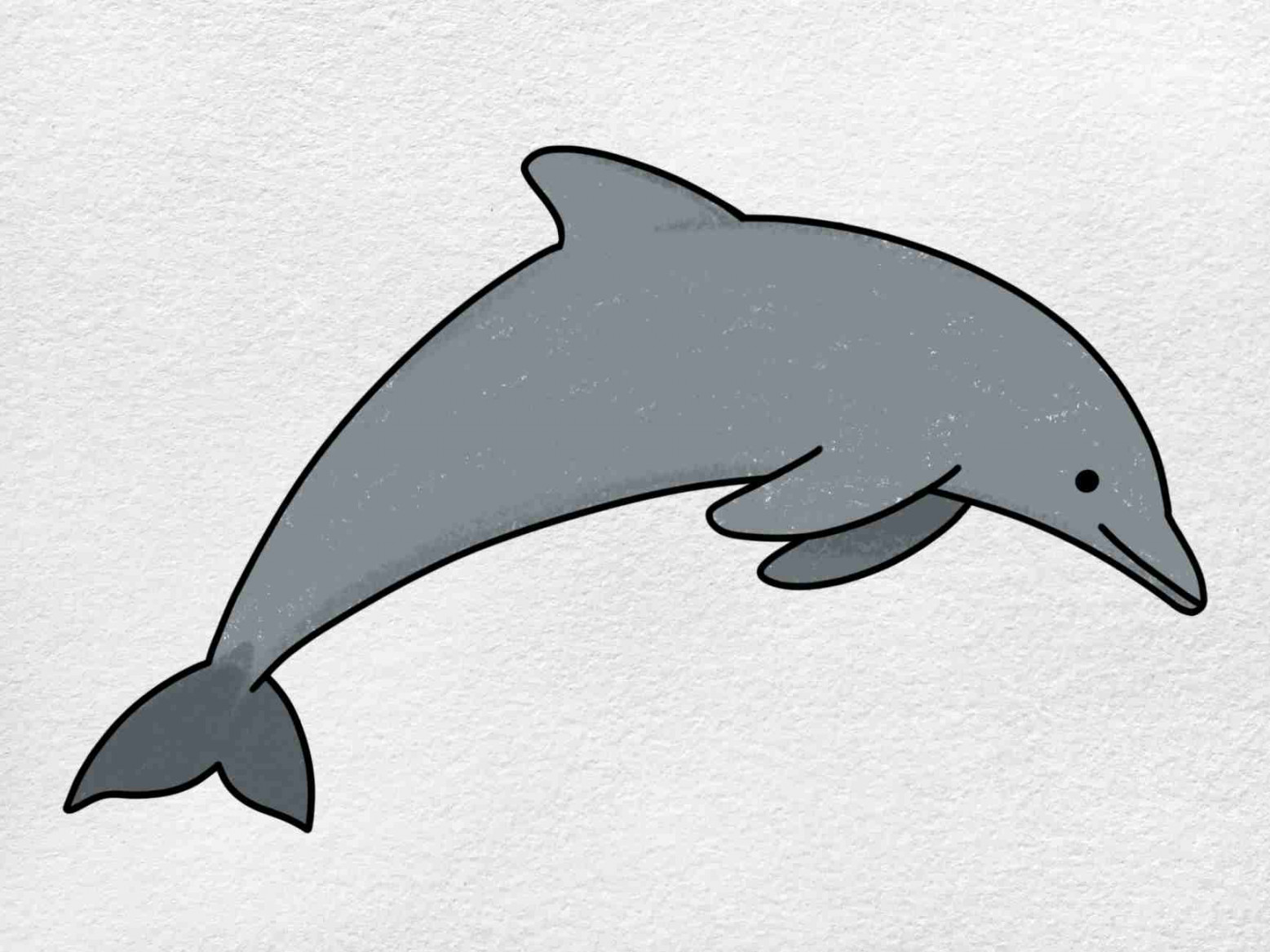 How to Draw a Dolphin - HelloArtsy