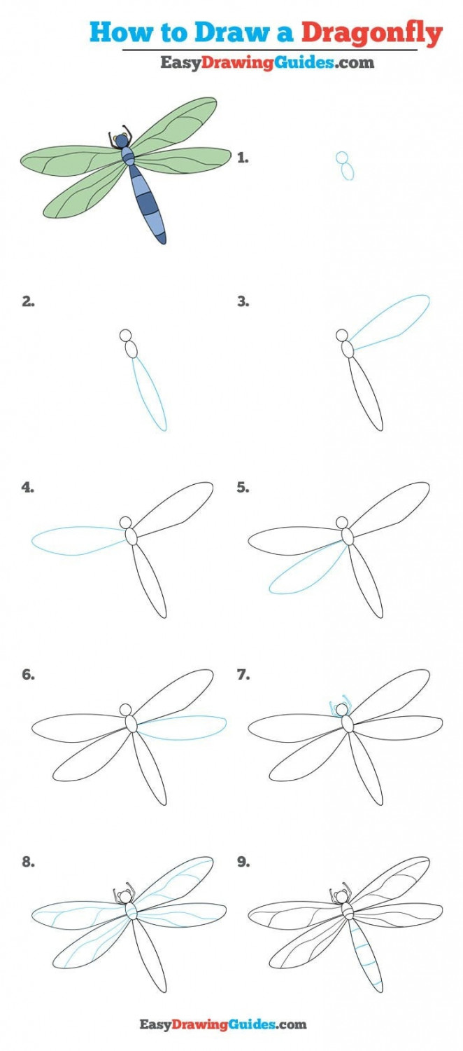 How to Draw a Dragonfly — Really Easy Drawing Tutorial  by Easy