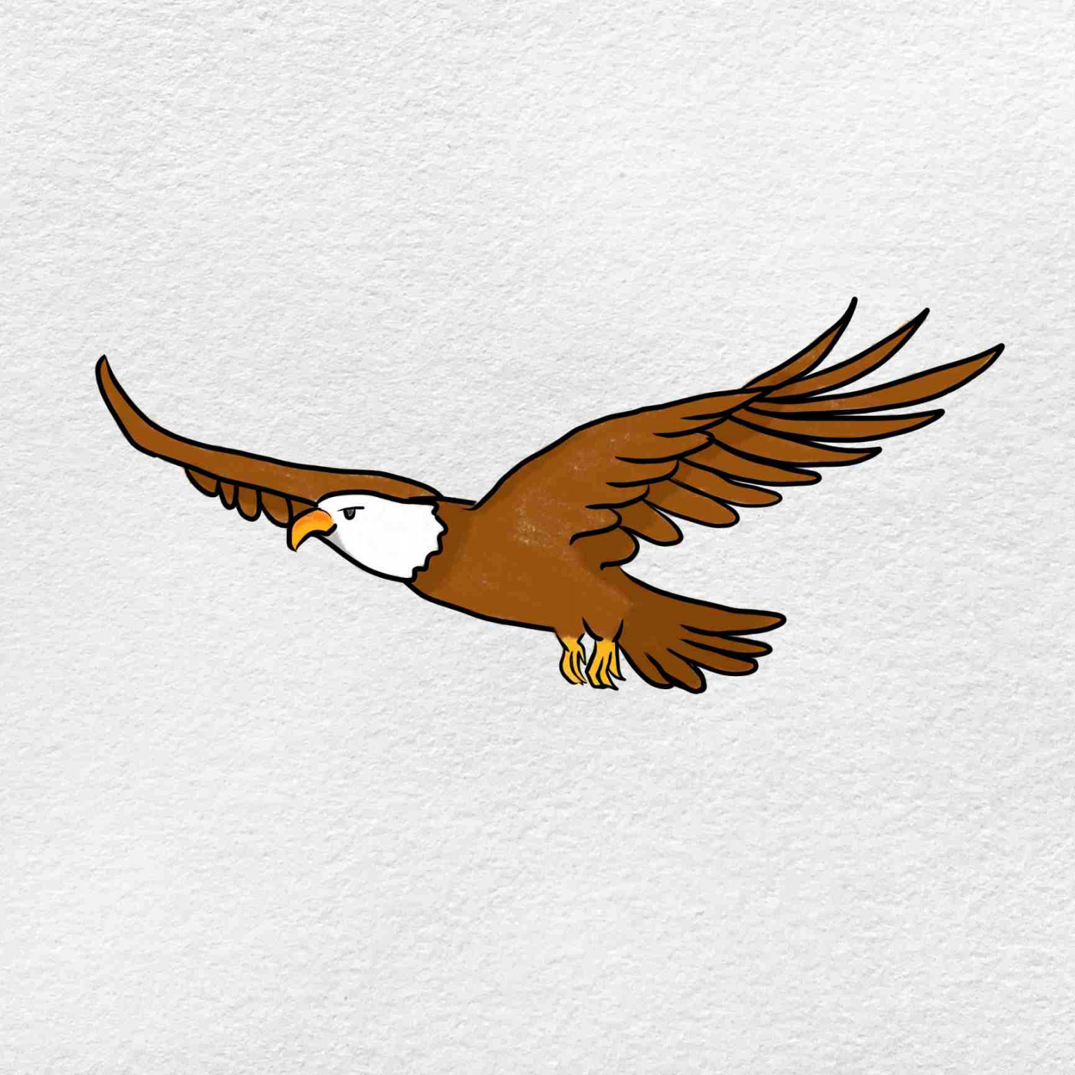 How to Draw a Eagle Flying - HelloArtsy