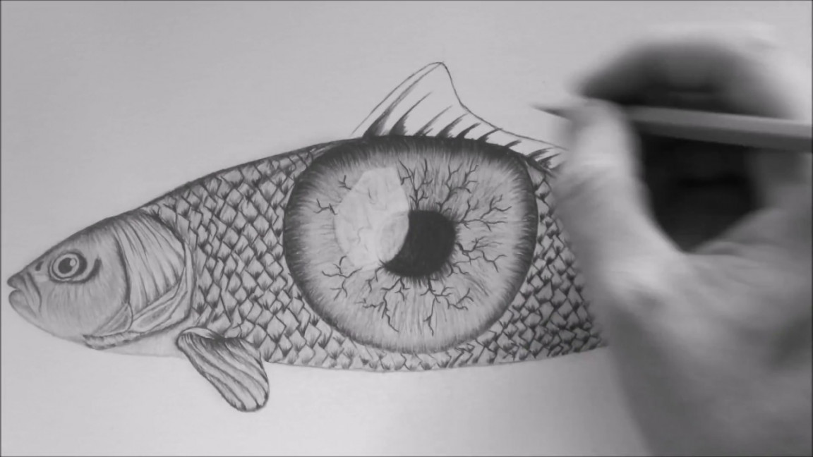 How To Draw A Fish  Eye Illusion