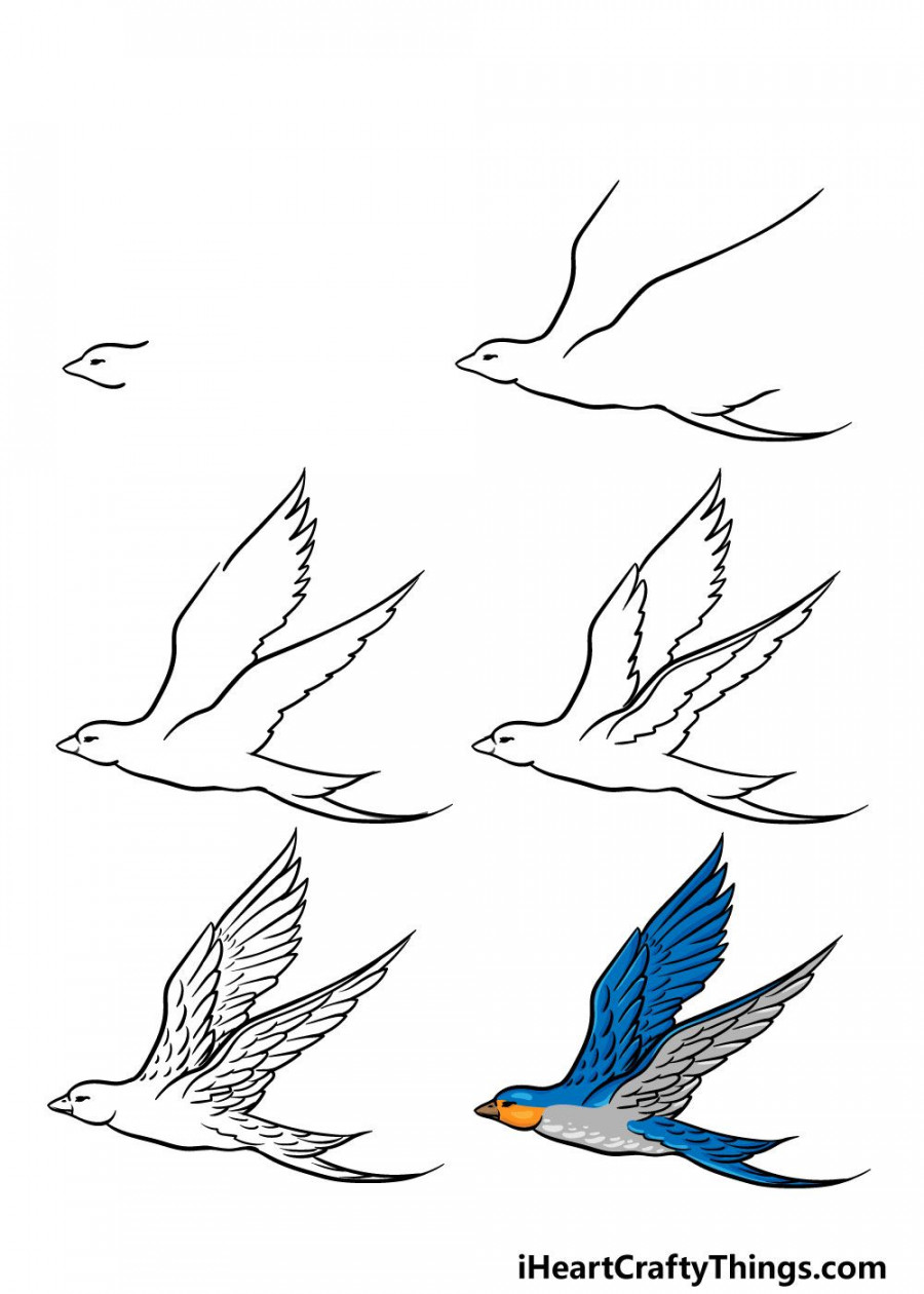 How to Draw A Flying Bird – A Step by Step Guide  Flying bird