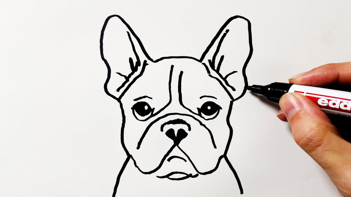 How to Draw a French Bulldog