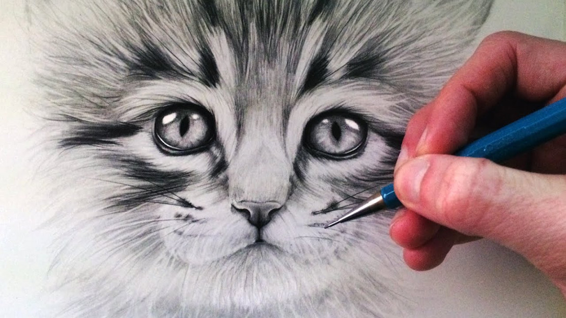 How to Draw a Kitten