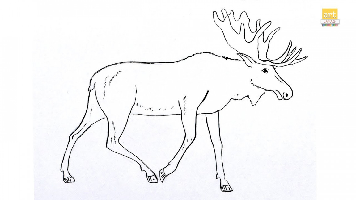 How to draw A Moose drawing step by step II Draw A Moose drawing II part   II #artjanag